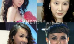 娱乐圈丑的女明星,娱乐圈丑闻缠身的“丑女明星”揭秘