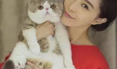 宠猫娱乐圈,宠猫与娱乐圈的跨界传奇
