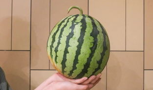 全网吃瓜,揭秘娱乐圈背后的秘密与真相