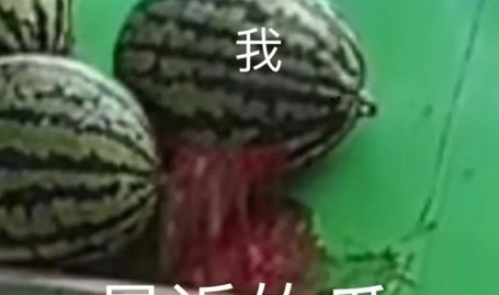 吃瓜在线,揭秘娱乐圈幕后故事,带你走进明星真实生活